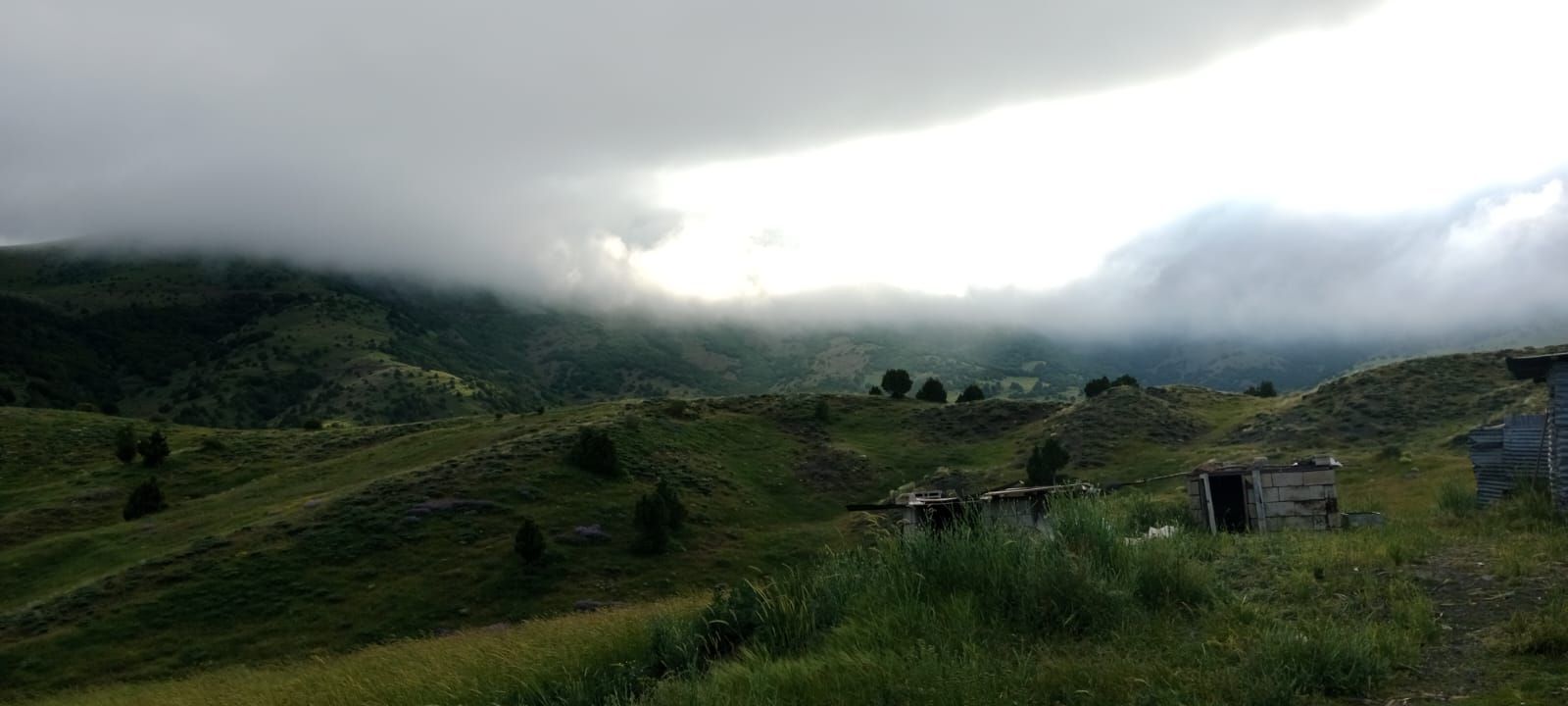Sivas Yayla